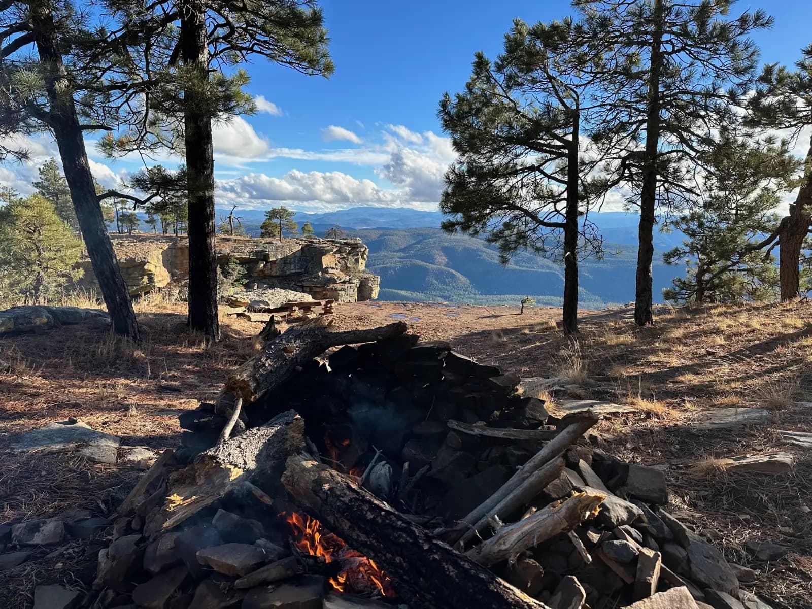 Campsite among pines on the rim near Payson, Arizona